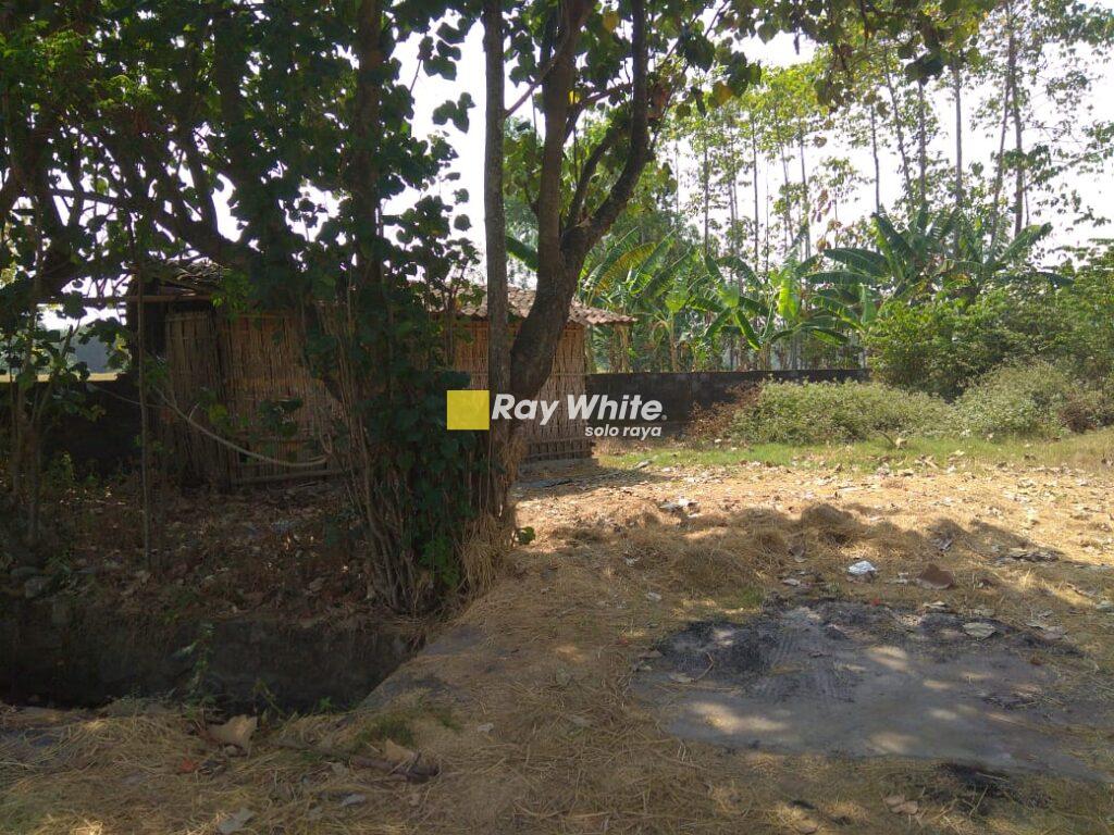 Dijual Tanah Buran, Tasikmadu