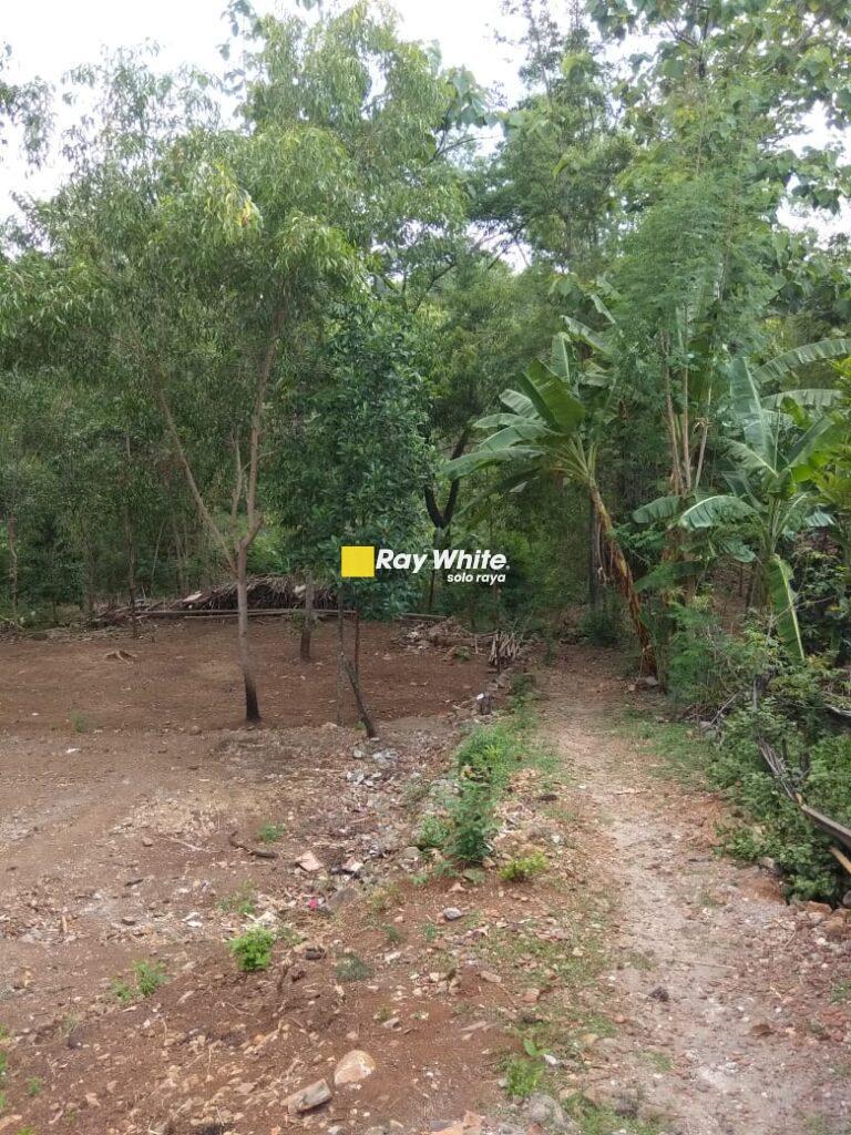 Dijual Tanah Dukuh Sarirejo