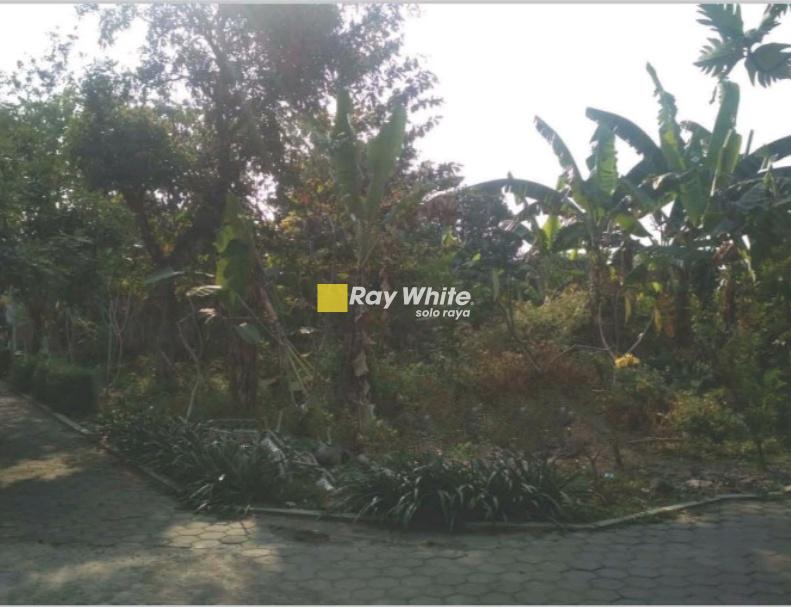 Dijual Tanah Bakipandeyan, Baki