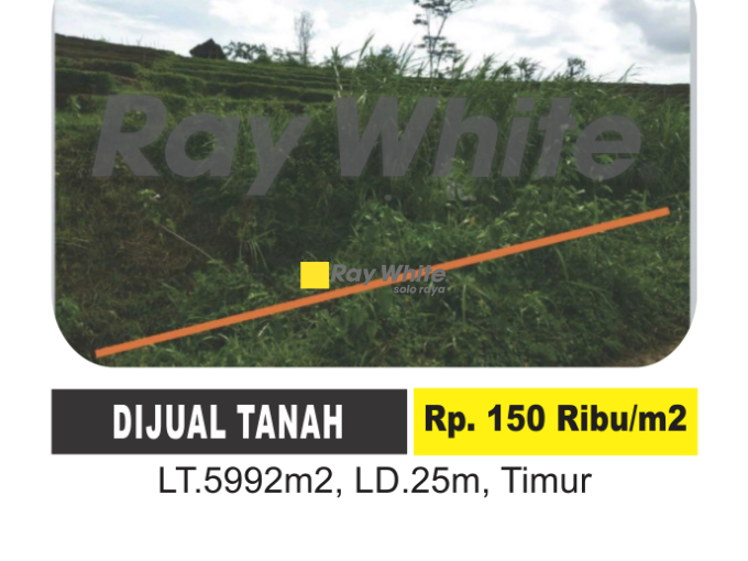 Dijual Tanah Tohkuning, Karangpandan