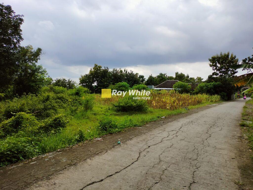 Dijual Tanah Wonorejo, Gondangrejo