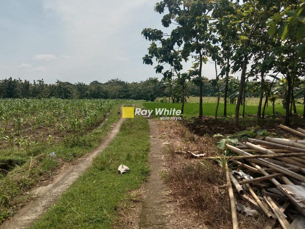 Dijual Tanah Pungsari, Plupuh, Sragen