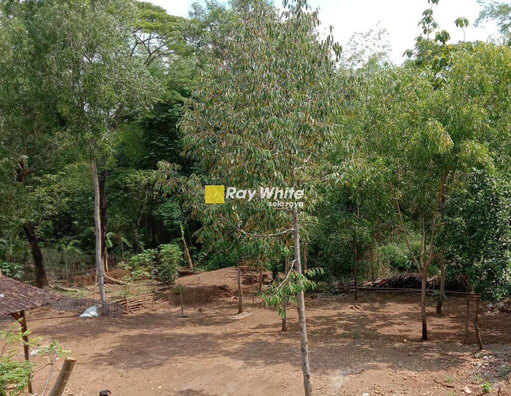 Dijual Tanah Nogosari, Boyolali