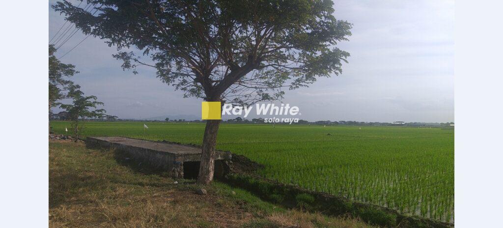Dijual Tanah Parangjoro, Grogol