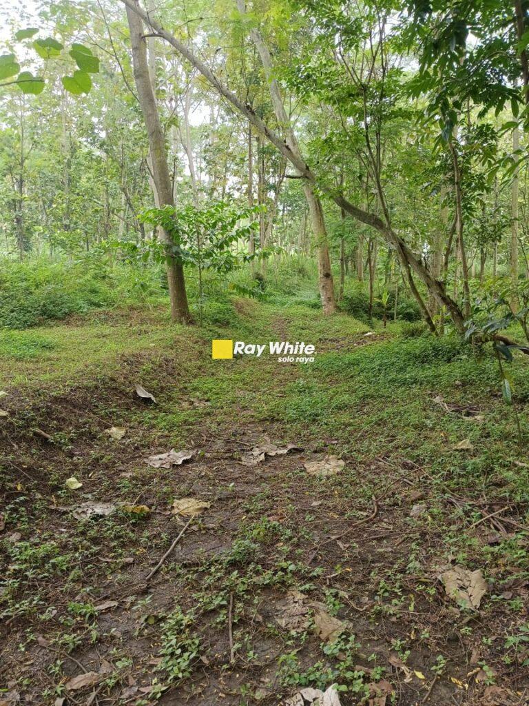 Dijual Tanah di Karanggeneng Boyolali