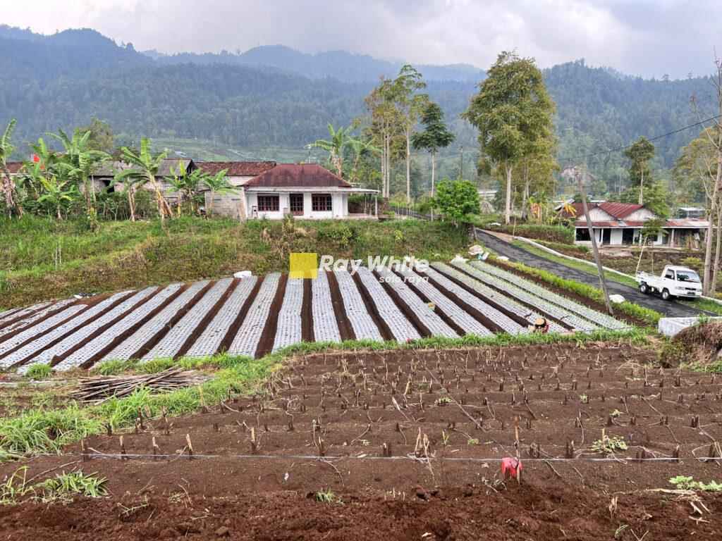 Dijual Tanah di Kemuning, Karanganyar