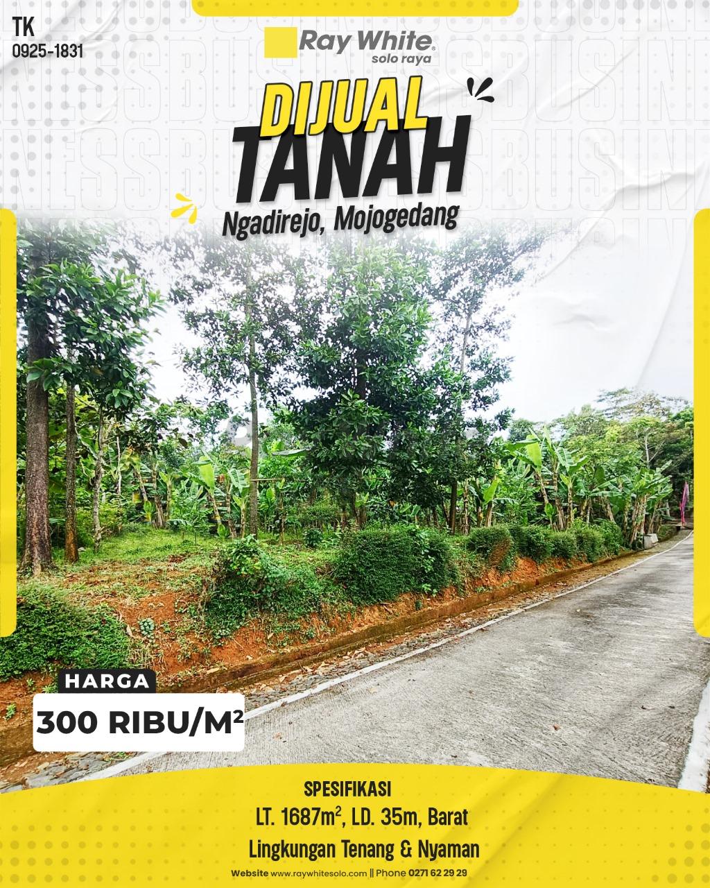 Tanah Kebun Luas 1687m² di Ngadirejo, Mojogedang, LD 35m