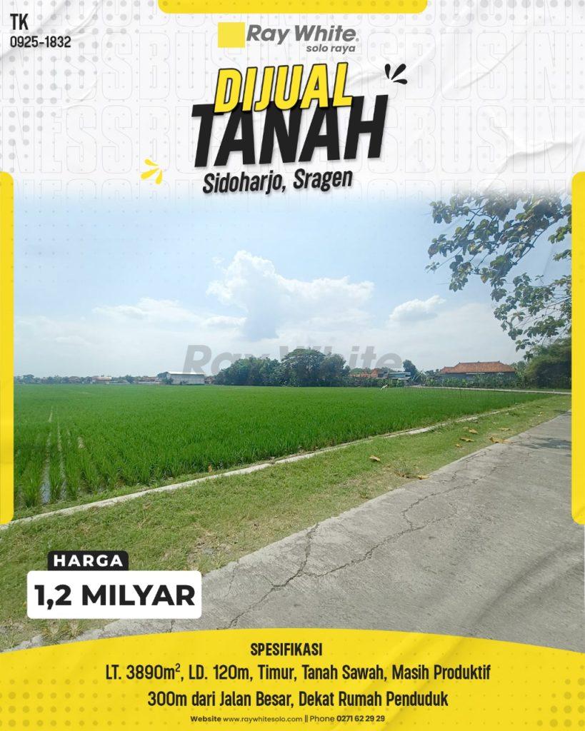 Tanah Sawah Produktif 3890m² di Sidoharjo Sragen, Lebar 120m