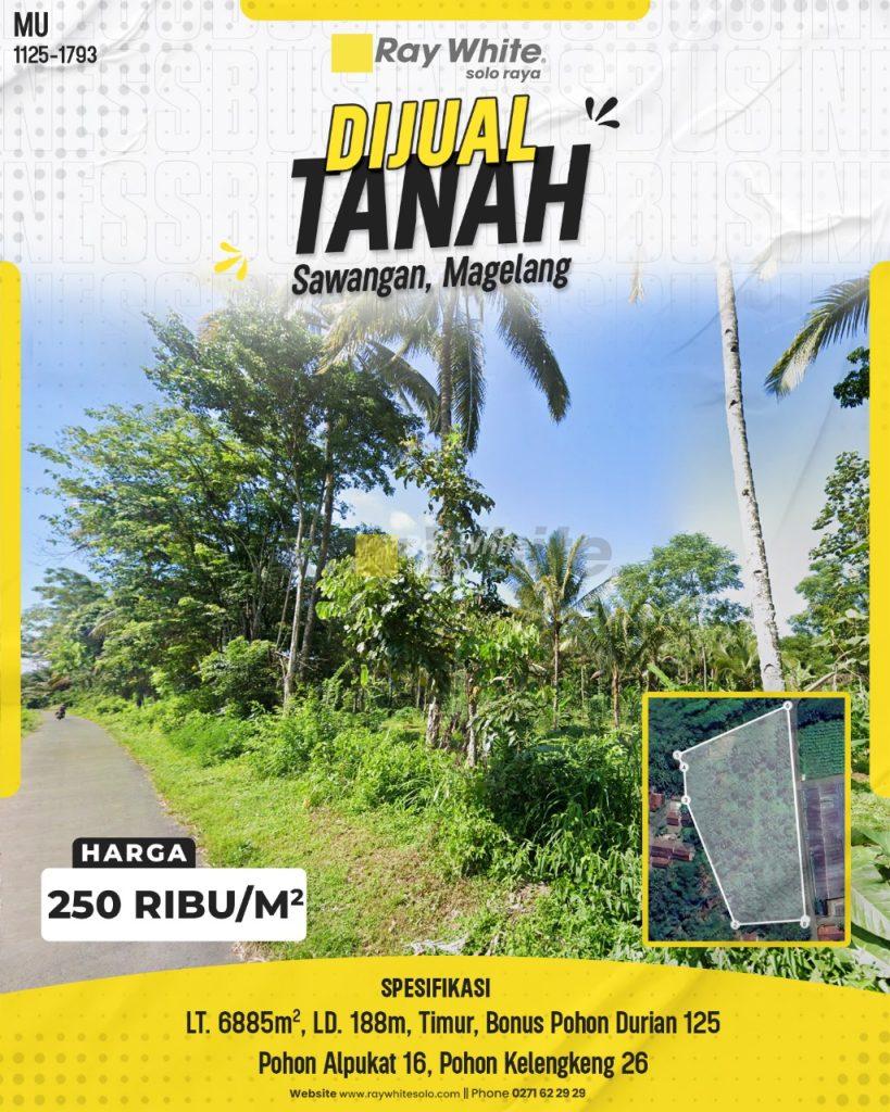 Tanah Kebun Produktif (Bonus Ratusan Pohon Durian) di Sawangan, Magelang (View Asri)