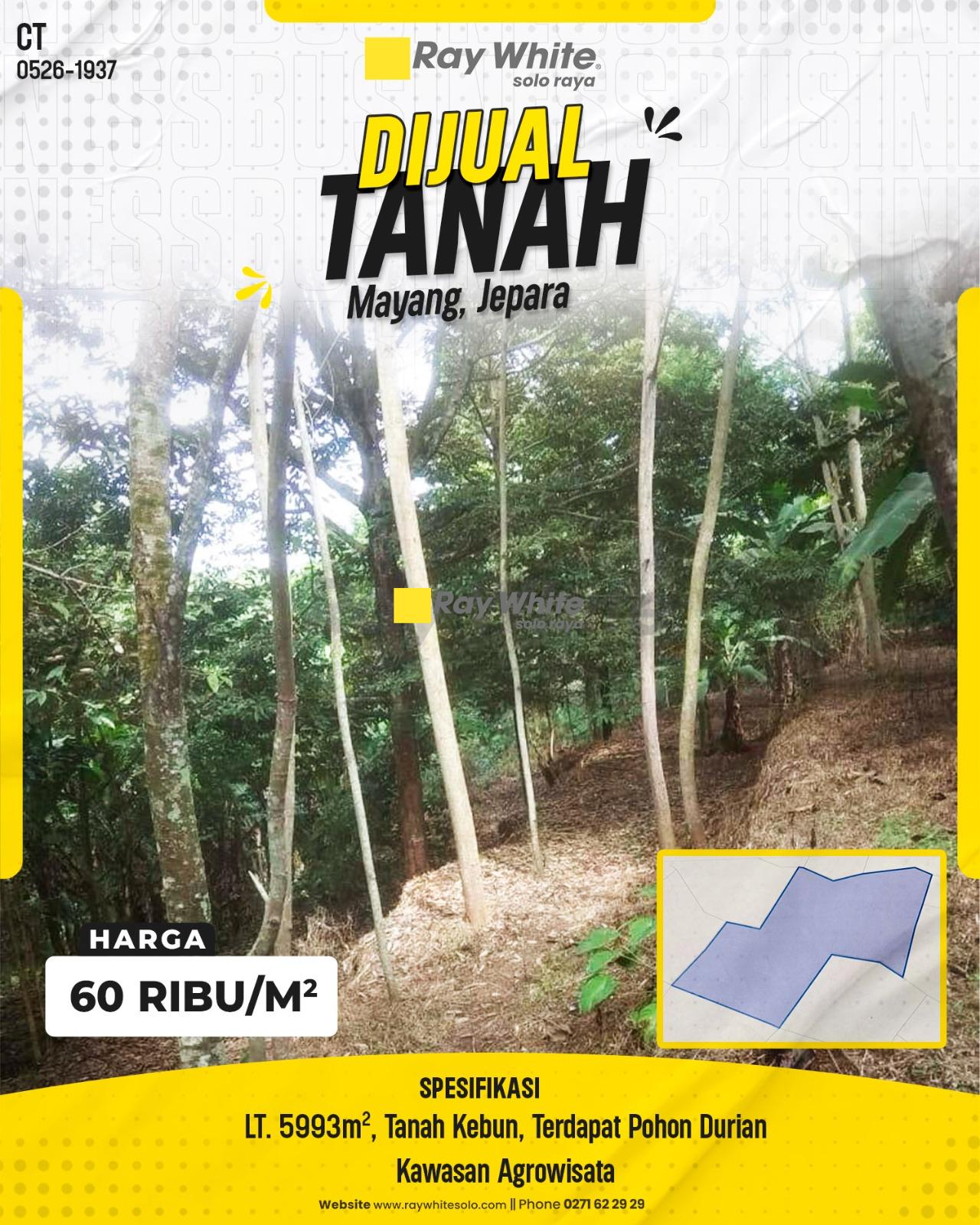 Tanah Kebun Dijual di Mayang Pancur Jepara Kawasan Agrowisata