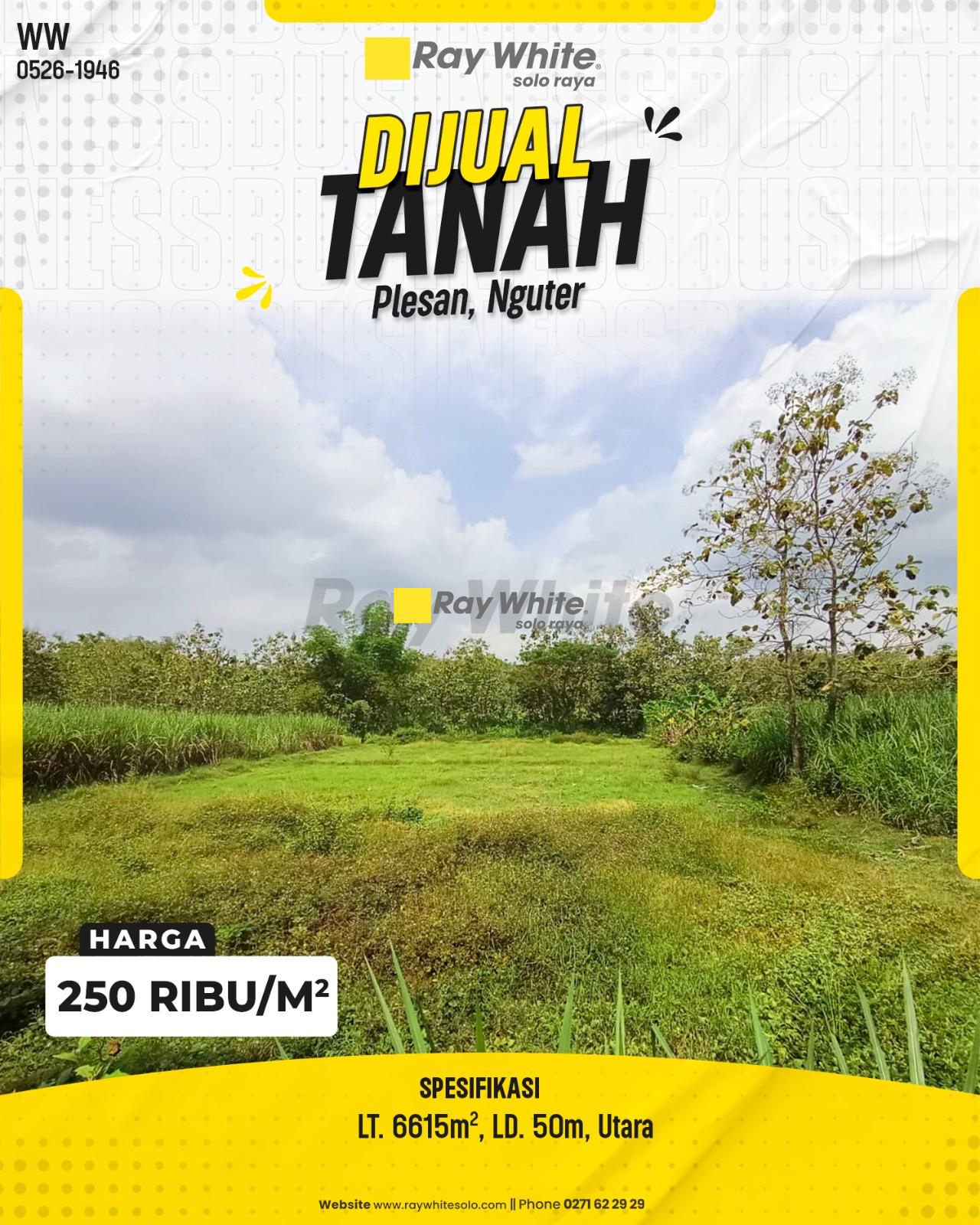 Lahan Masif Dijual di Plesan Nguter Sukoharjo Luas 6615m² Lebar Depan 50m
