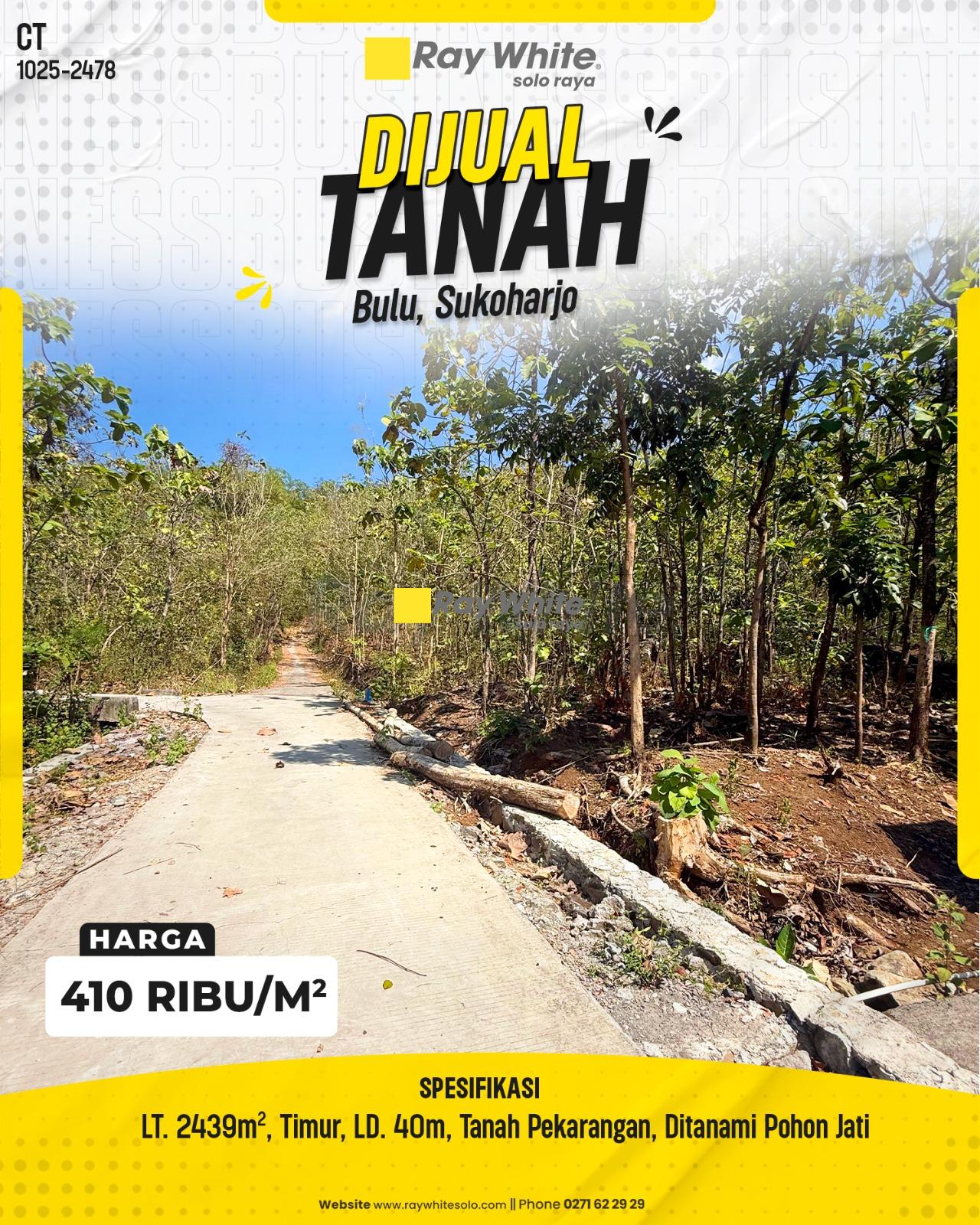 Tanah Pekarangan Ditanami Pohon Jati Luas Murah di Kunden Bulu Sukoharjo