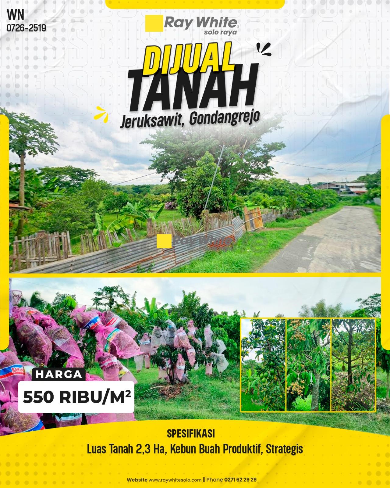Tanah Kebun Buah Produktif Super Luas 2,3 Hektar Strategis di Jeruksawit Gondangrejo Karanganyar
